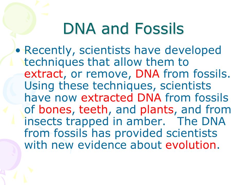 DNA and Fossils Recently, scientists have developed techniques that allow them to extract, or remove, DNA from fossils.