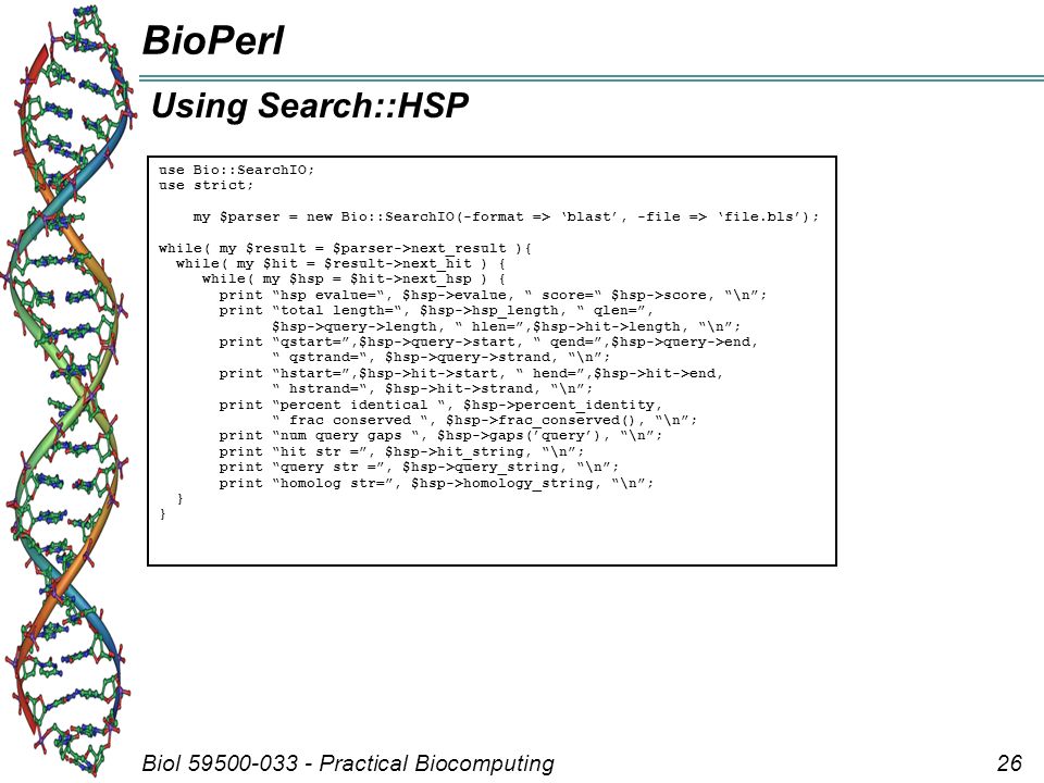 Biol Practical Biocomputing26 BioPerl Using Search::HSP use Bio::SearchIO; use strict; my $parser = new Bio::SearchIO(-format => ‘blast’, -file => ‘file.bls’); while( my $result = $parser->next_result ){ while( my $hit = $result->next_hit ) { while( my $hsp = $hit->next_hsp ) { print hsp evalue= , $hsp->evalue, score= $hsp->score, \n ; print total length= , $hsp->hsp_length, qlen= , $hsp->query->length, hlen= ,$hsp->hit->length, \n ; print qstart= ,$hsp->query->start, qend= ,$hsp->query->end, qstrand= , $hsp->query->strand, \n ; print hstart= ,$hsp->hit->start, hend= ,$hsp->hit->end, hstrand= , $hsp->hit->strand, \n ; print percent identical , $hsp->percent_identity, frac conserved , $hsp->frac_conserved(), \n ; print num query gaps , $hsp->gaps(’query’), \n ; print hit str = , $hsp->hit_string, \n ; print query str = , $hsp->query_string, \n ; print homolog str= , $hsp->homology_string, \n ; } }