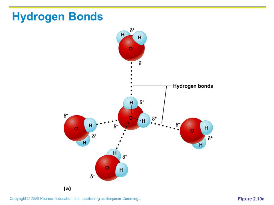 Водородная химическая связь схема. Водородная связь примеры схема. Водородная связь между молекулами воды схема. Водородная связь в молекуле воды схема.