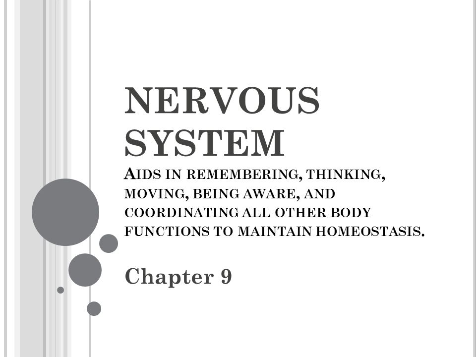 NERVOUS SYSTEM A IDS IN REMEMBERING, THINKING, MOVING, BEING AWARE, AND COORDINATING ALL OTHER BODY FUNCTIONS TO MAINTAIN HOMEOSTASIS.