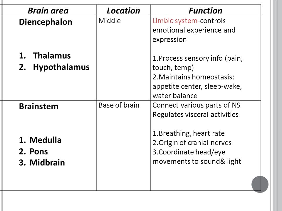 Brain areaLocationFunction Diencephalon 1.Thalamus 2.Hypothalamus MiddleLimbic system-controls emotional experience and expression 1.Process sensory info (pain, touch, temp) 2.Maintains homeostasis: appetite center, sleep-wake, water balance Brainstem 1.Medulla 2.Pons 3.Midbrain Base of brainConnect various parts of NS Regulates visceral activities 1.Breathing, heart rate 2.Origin of cranial nerves 3.Coordinate head/eye movements to sound& light