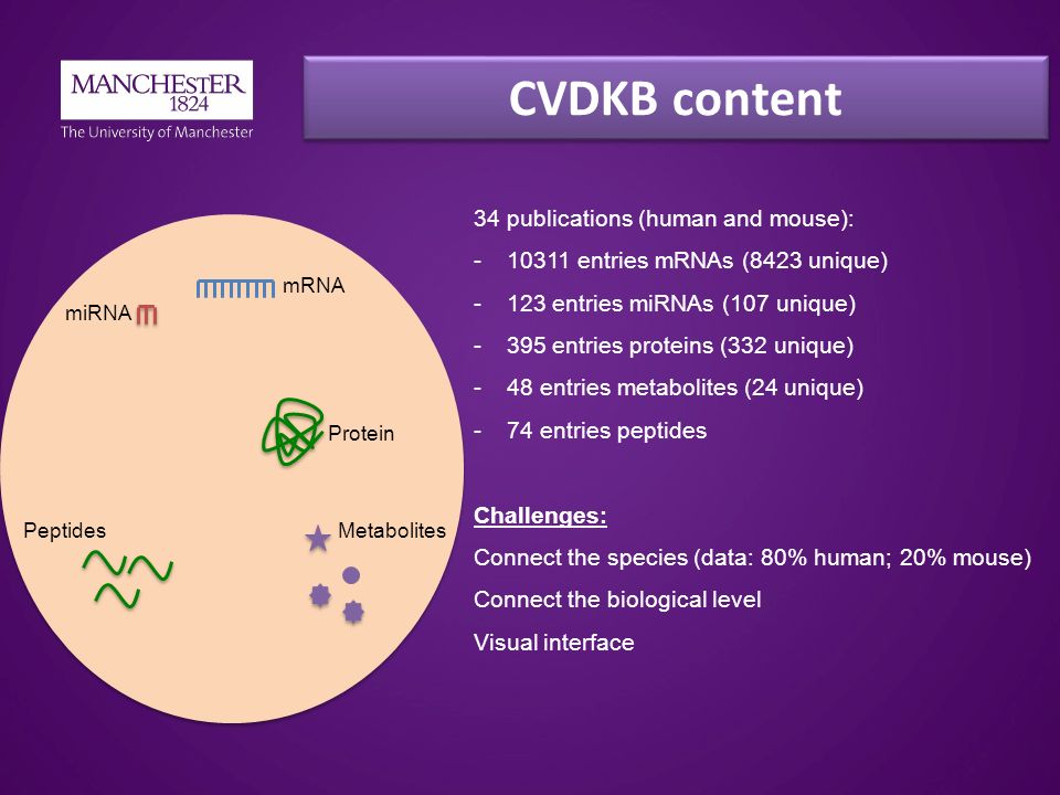 CVDKB content mRNA Protein Metabolites miRNA Peptides 34 publications (human and mouse): entries mRNAs (8423 unique) -123 entries miRNAs (107 unique) -395 entries proteins (332 unique) -48 entries metabolites (24 unique) -74 entries peptides Challenges: Connect the species (data: 80% human; 20% mouse) Connect the biological level Visual interface