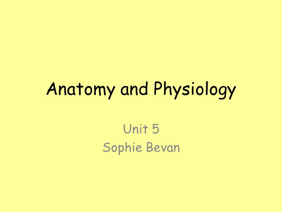 IV. Estimation Results