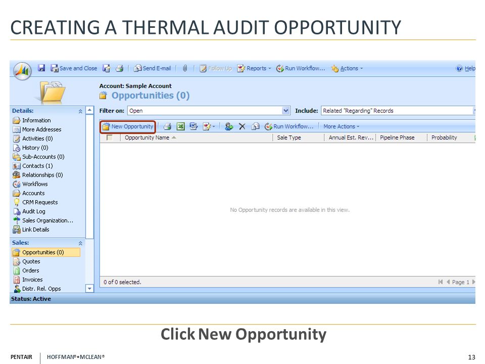 PENTAIR HOFFMAN ® MCLEAN ® CREATING A THERMAL AUDIT OPPORTUNITY 13 Click New Opportunity