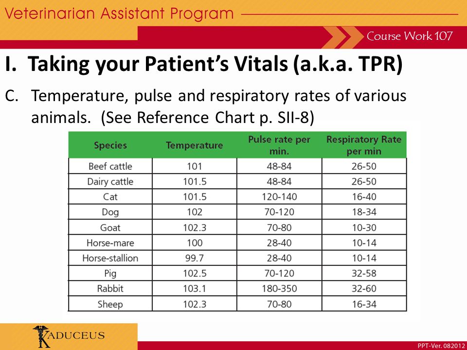 Tpr Chart Nursing