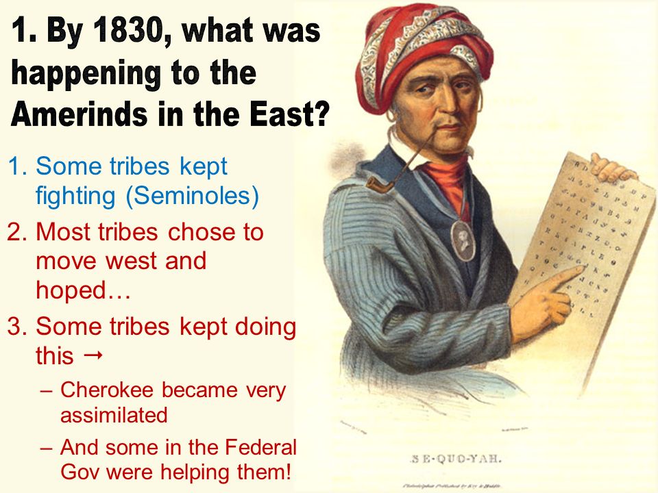 reasons for indian removal