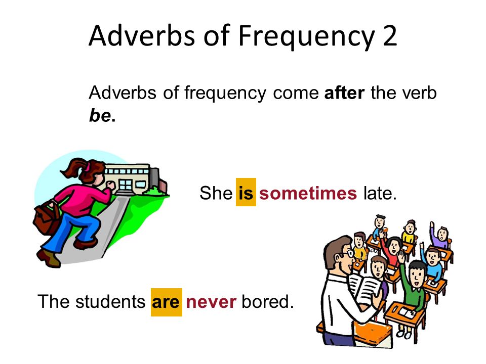 Adverbs of frequency wordwall. Adverbs of Frequency. Наречия частотности в present simple. Наречия частотности в английском. Adverbs of Frequency в процентах.