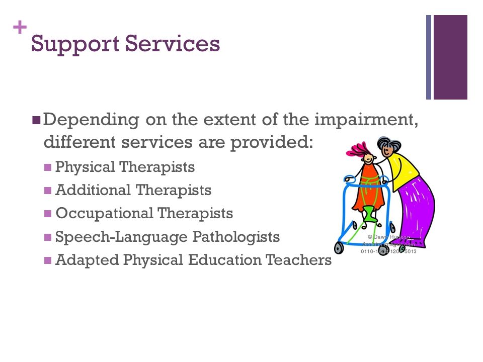 + Support Services Depending on the extent of the impairment, different services are provided: Physical Therapists Additional Therapists Occupational Therapists Speech-Language Pathologists Adapted Physical Education Teachers