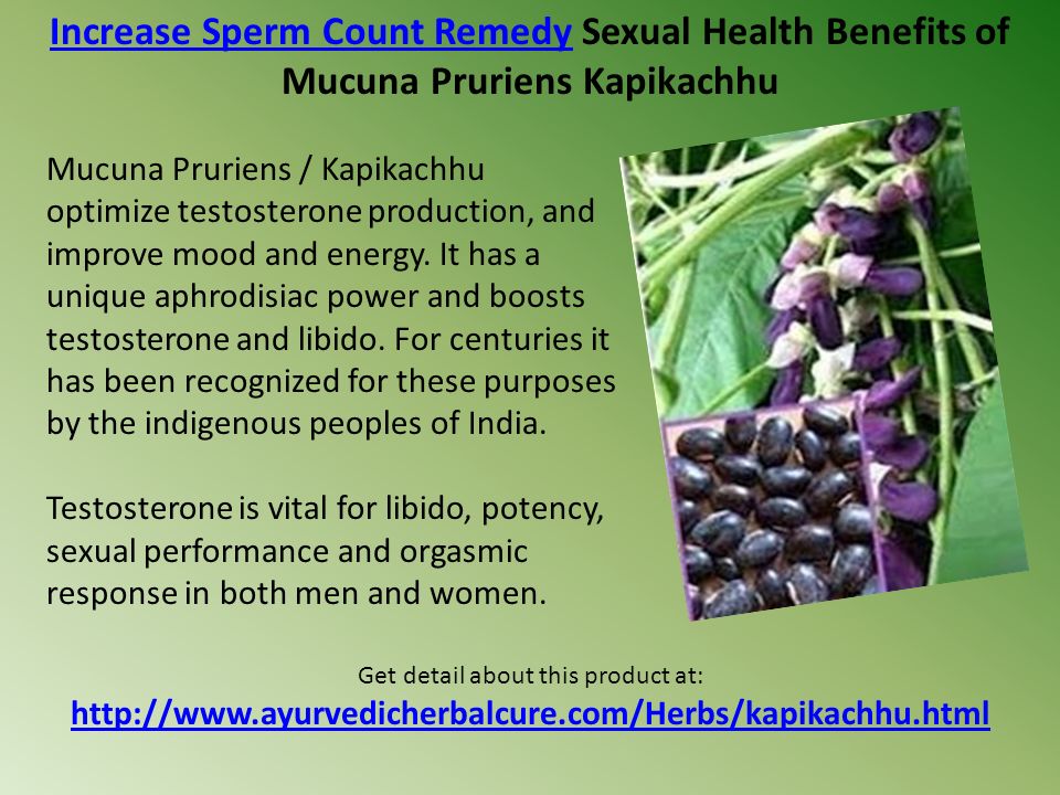 Speaking, herbs that increase sperm count valuable information Herbs that increase sperm count well