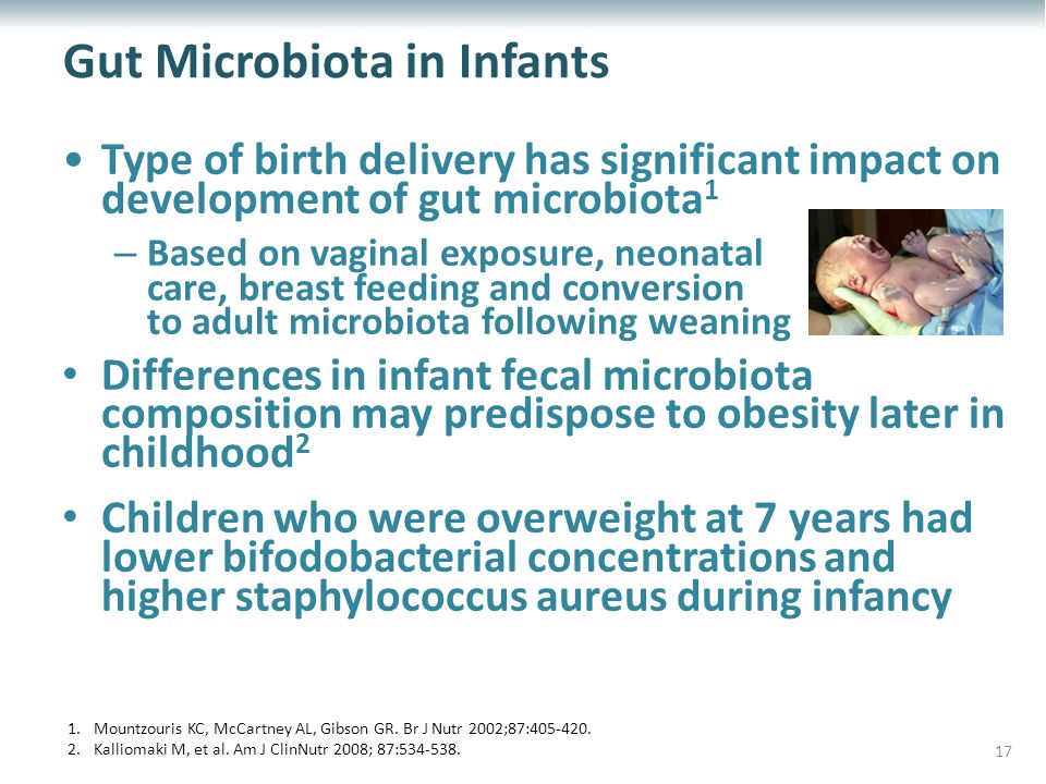 Gut Microbiota in Infants Type of birth delivery has significant impact on development of gut microbiota 1 – Based on vaginal exposure, neonatal care, breast feeding and conversion to adult microbiota following weaning Differences in infant fecal microbiota composition may predispose to obesity later in childhood 2 Children who were overweight at 7 years had lower bifodobacterial concentrations and higher staphylococcus aureus during infancy 1.Mountzouris KC, McCartney AL, Gibson GR.