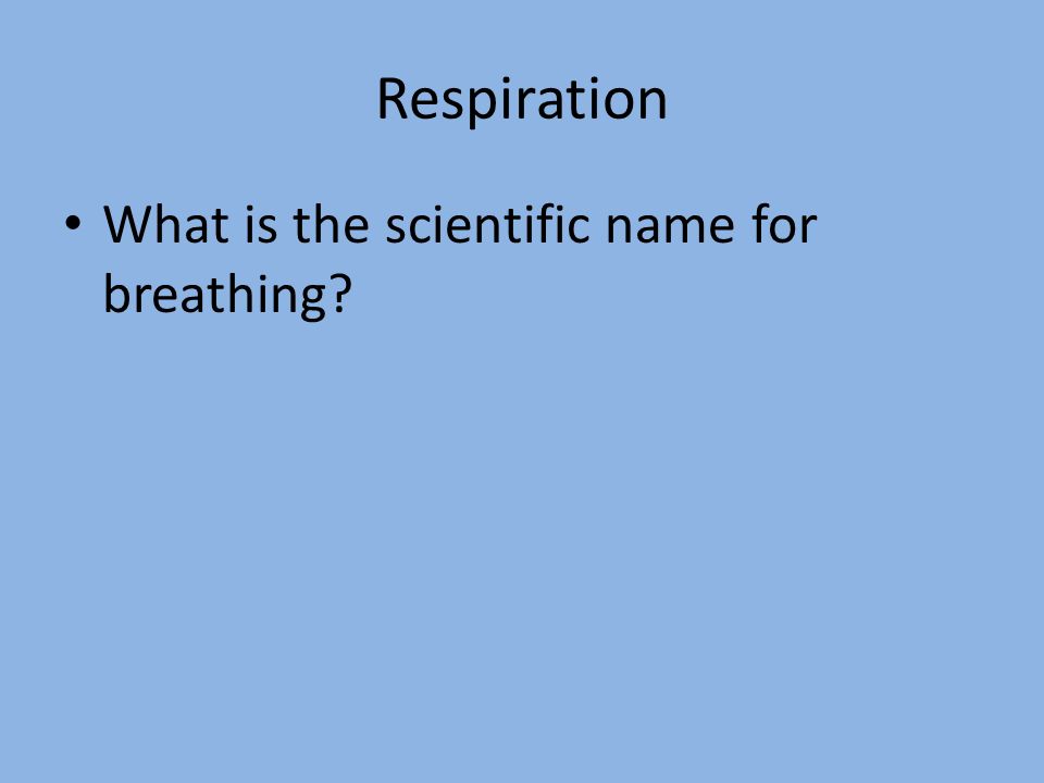 Respiration What is the scientific name for breathing