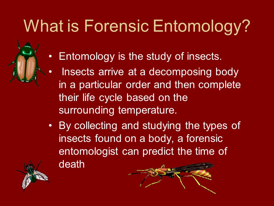 which entails specific training in forensic entomology
