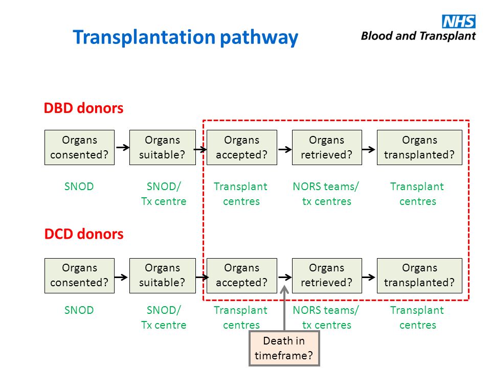 Transplantation pathway Organs suitable. Organs accepted.