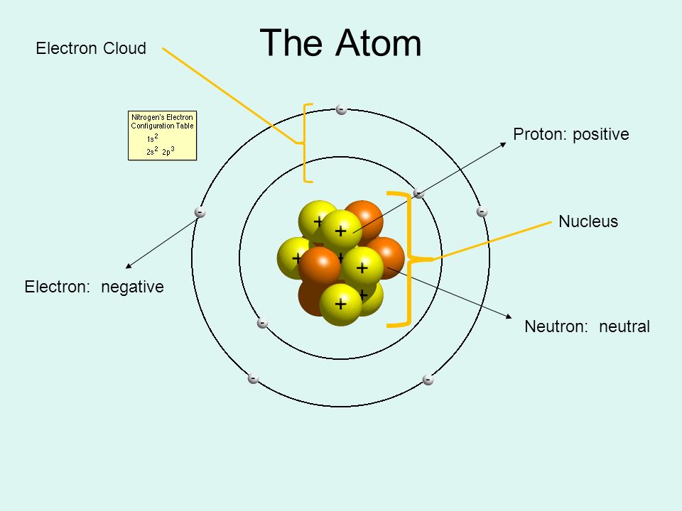 Negative Electron 