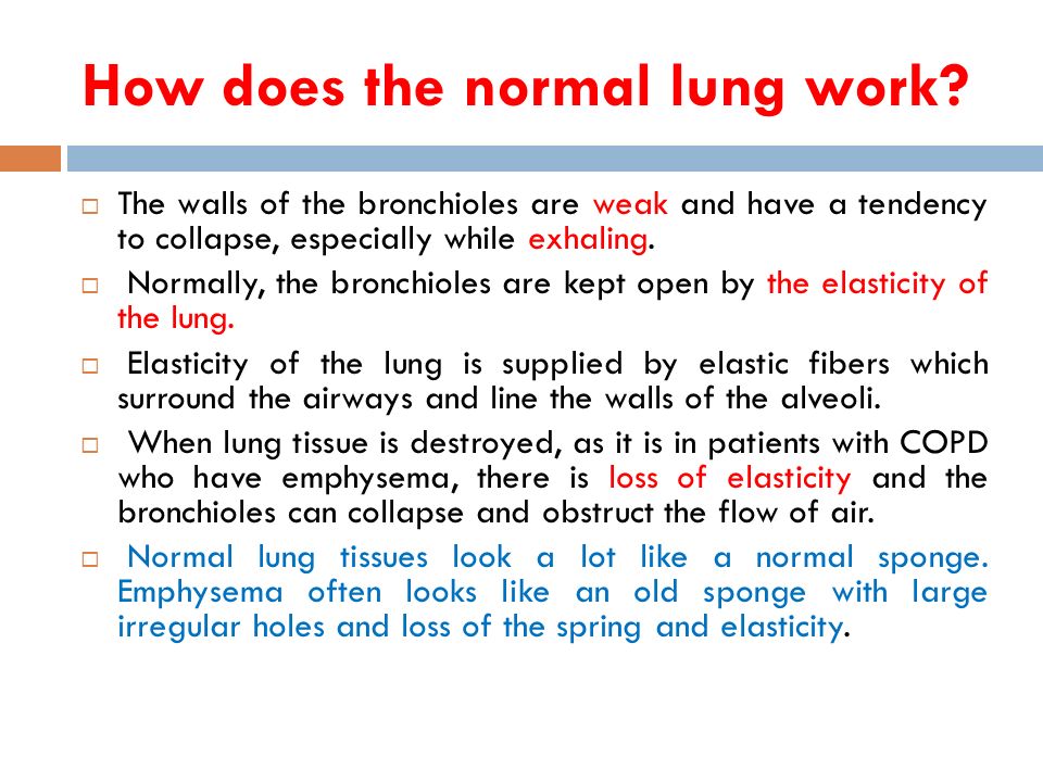 How does the normal lung work.