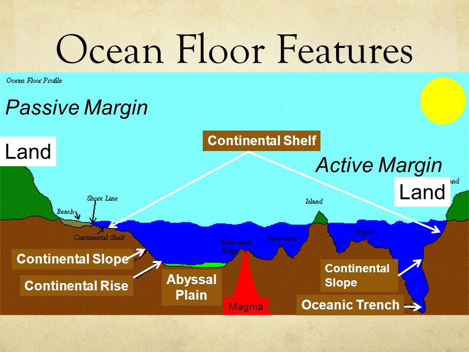 Features Of The Ocean Floor What Do You Know About The Ocean