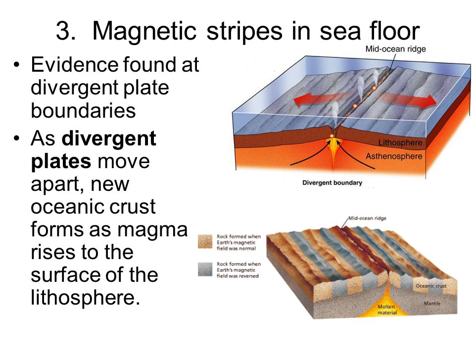 The Ocean Floor And The Coast Section 1 Plate Tectonics And The