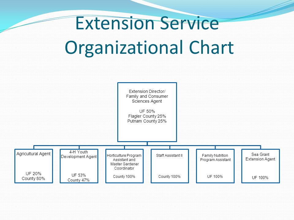 Uf Organizational Chart