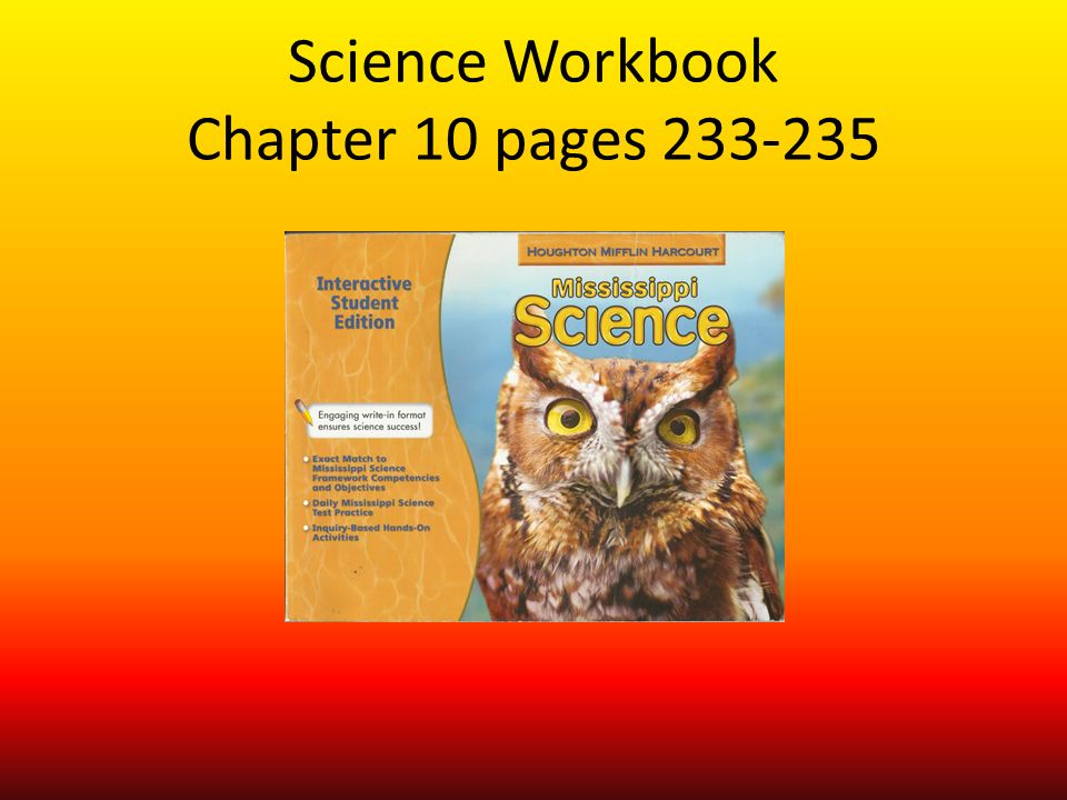 Science Workbook Chapter 10 pages