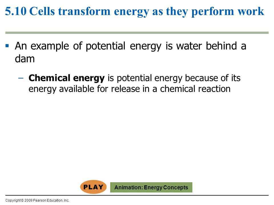 5.10 Cells transform energy as they perform work  An example of potential energy is water behind a dam –Chemical energy is potential energy because of its energy available for release in a chemical reaction Copyright © 2009 Pearson Education, Inc.