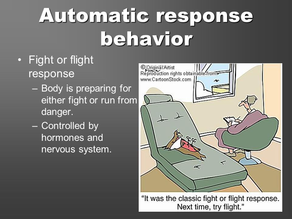 ANIMAL BEHAVIOR INATE, LEARNED, AND SOCIAL. WHAT IS BEHAVIOR? BEHAVIOR is  anything an animal does in response to a stimulus. EXAMPLES: –HEAT  stimulates. - ppt download