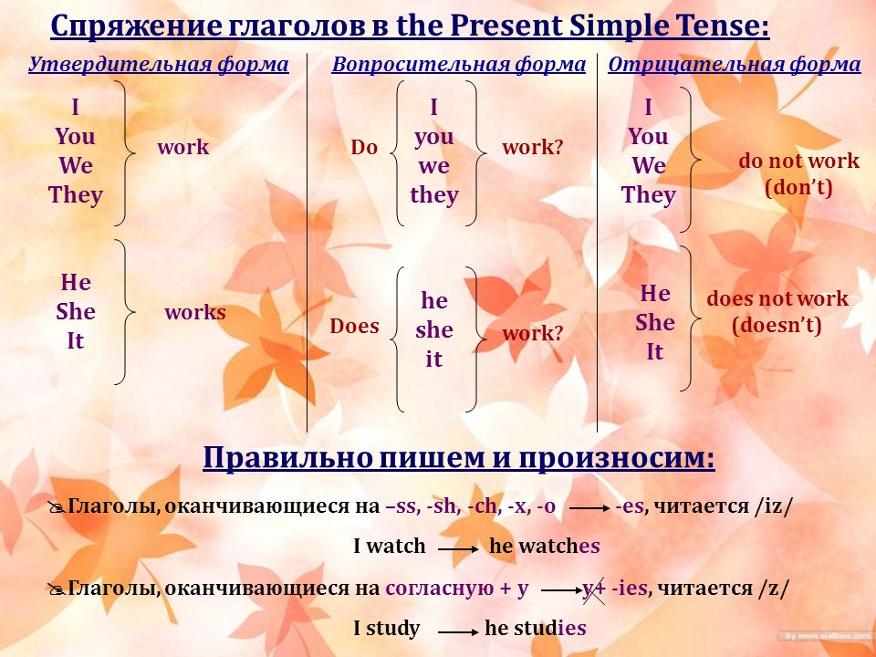 Использование форм глагола. Глаголы в настоящем простом времени. Настоящей простой утвердительной формой глаголов. Глаголы в present simple Tense:. Проспрягайте глаголы в present simple.