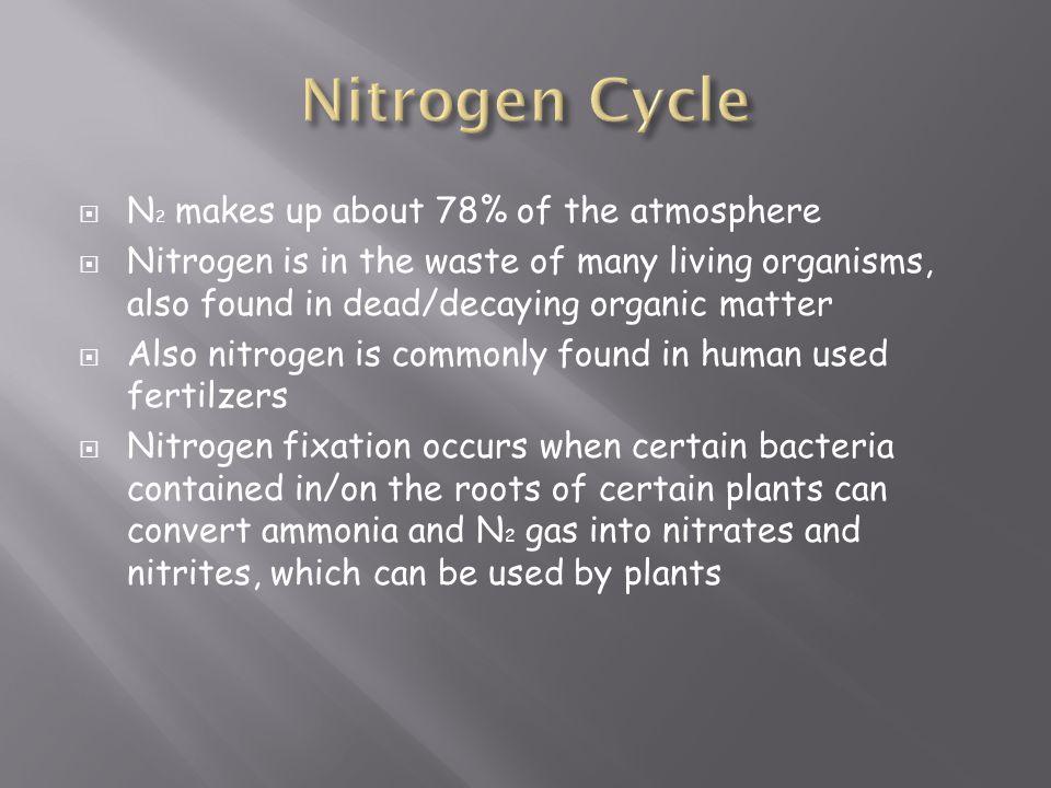  N 2 makes up about 78% of the atmosphere  Nitrogen is in the waste of many living organisms, also found in dead/decaying organic matter  Also nitrogen is commonly found in human used fertilzers  Nitrogen fixation occurs when certain bacteria contained in/on the roots of certain plants can convert ammonia and N 2 gas into nitrates and nitrites, which can be used by plants