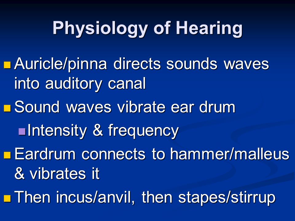 Physiology of Hearing Auricle/pinna directs sounds waves into auditory canal Auricle/pinna directs sounds waves into auditory canal Sound waves vibrate ear drum Sound waves vibrate ear drum Intensity & frequency Intensity & frequency Eardrum connects to hammer/malleus & vibrates it Eardrum connects to hammer/malleus & vibrates it Then incus/anvil, then stapes/stirrup Then incus/anvil, then stapes/stirrup