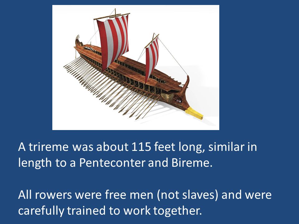 A trireme was about 115 feet long, similar in length to a Penteconter and Bireme.