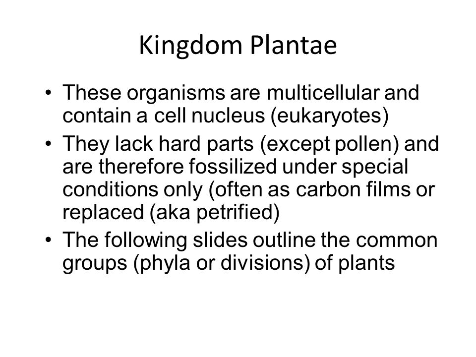Kingdom Plantae These organisms are multicellular and contain a cell nucleus (eukaryotes) They lack hard parts (except pollen) and are therefore fossilized under special conditions only (often as carbon films or replaced (aka petrified) The following slides outline the common groups (phyla or divisions) of plants