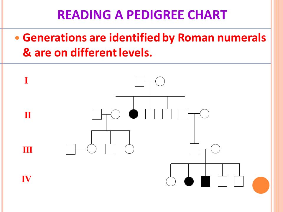 How To Read A Pedigree Chart