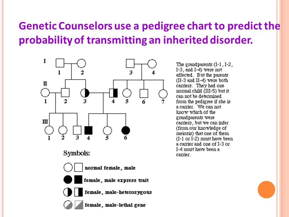 Genetic Traits Chart