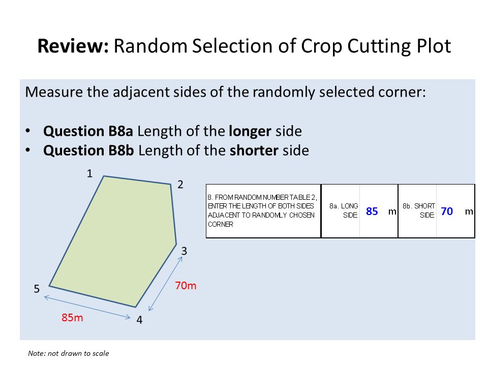 Review: Random Selection of Crop Cutting Plot Number all the corners of the plot beginning from the NW corner and clockwise N 1 Note: not drawn to scale Measure the adjacent sides of the randomly selected corner: Question B8a Length of the longer side Question B8b Length of the shorter side 70m 85m 70 85