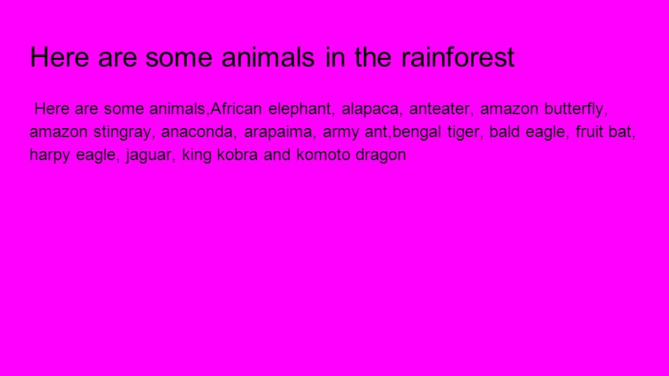 Here are some animals in the rainforest Here are some animals,African elephant, alapaca, anteater, amazon butterfly, amazon stingray, anaconda, arapaima, army ant,bengal tiger, bald eagle, fruit bat, harpy eagle, jaguar, king kobra and komoto dragon