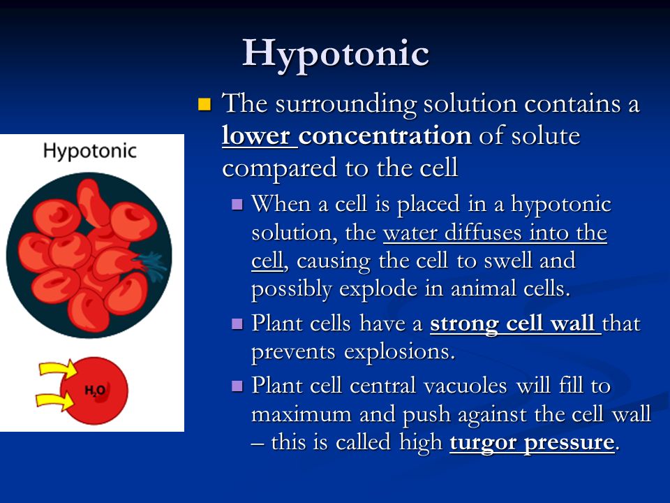 Cell Membrane Homeostasis Cell Membrane Function And Structure The Cell Membrane Is Chiefly Responsible For Maintaining Homeostasis Inside A Living Ppt Download