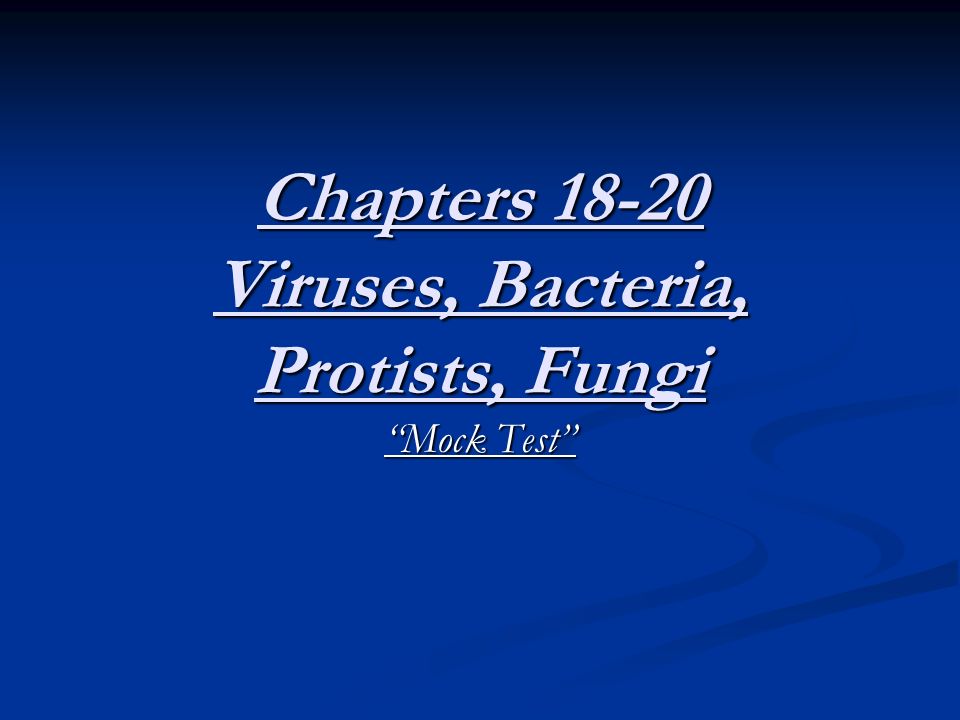 Chapters Viruses, Bacteria, Protists, Fungi Mock Test