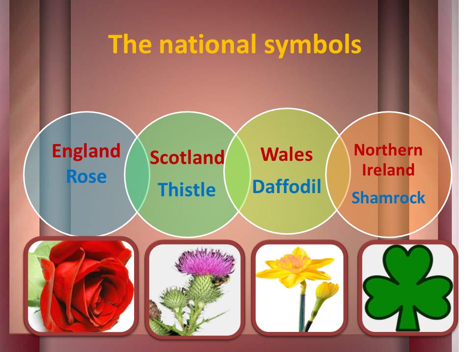 What are english speaking countries. Symbols of English speaking Countries. Цветы по английскому. Great Britain цветок. National symbols of Countries.