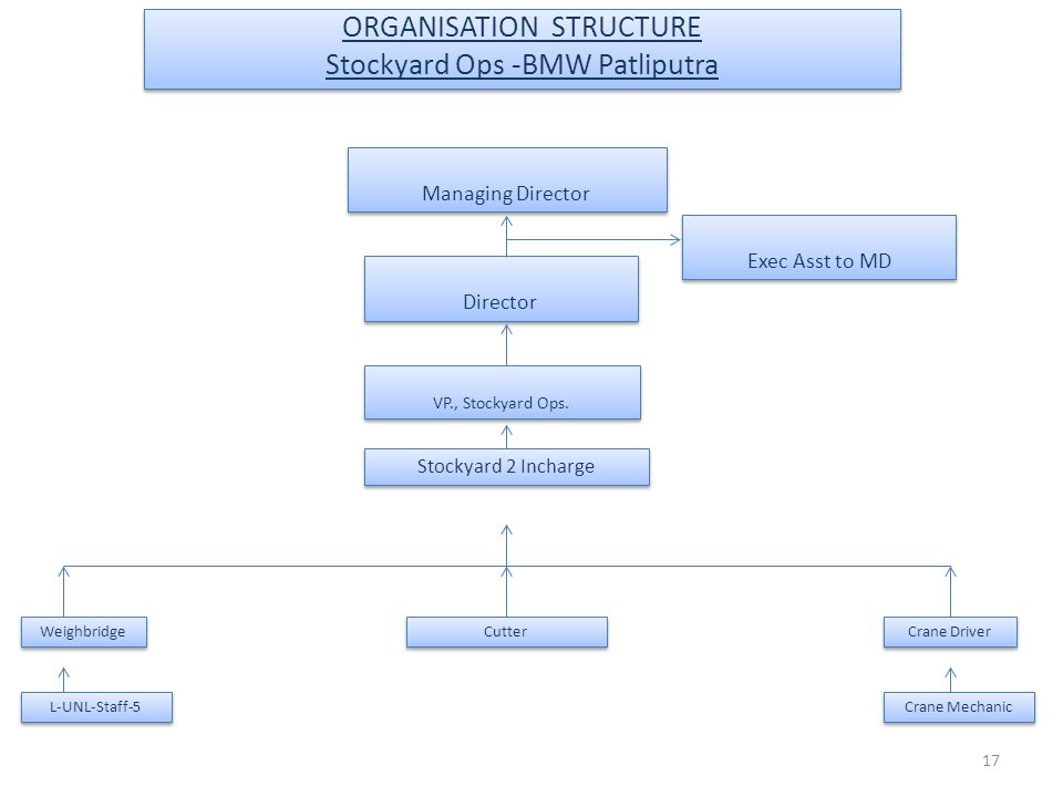 Bmw Hierarchy Chart