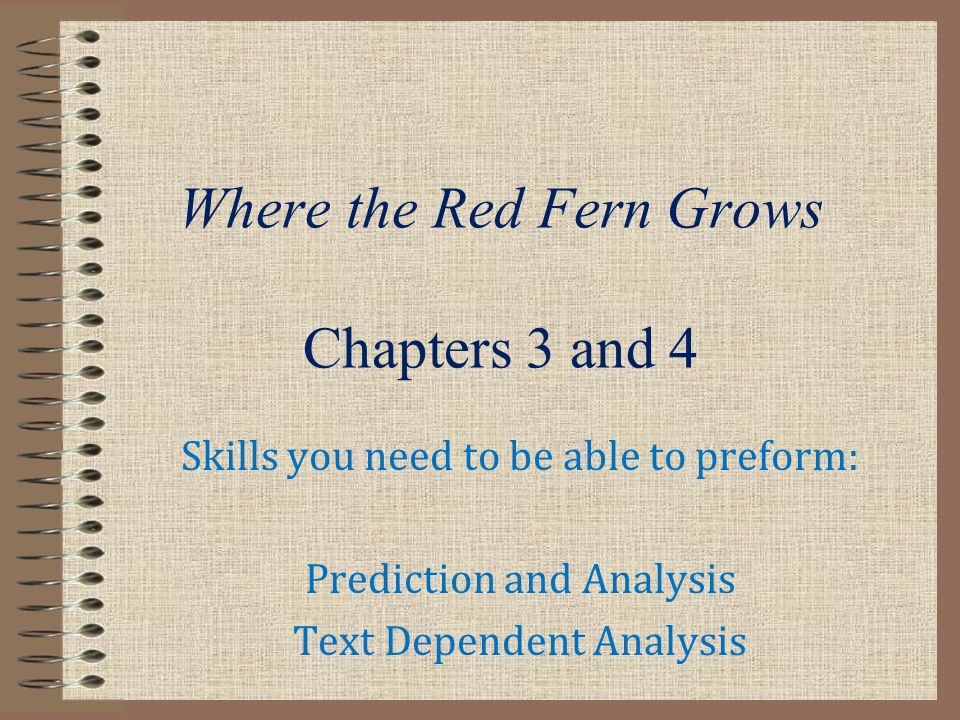 where the red fern grows analysis