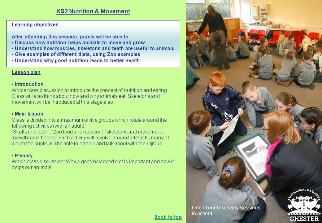 KS2 Nutrition & Movement Information and guidance for teachers Contents Learning  objectives Lesson plan Curriculum links Suggested activities to link with.  - ppt download
