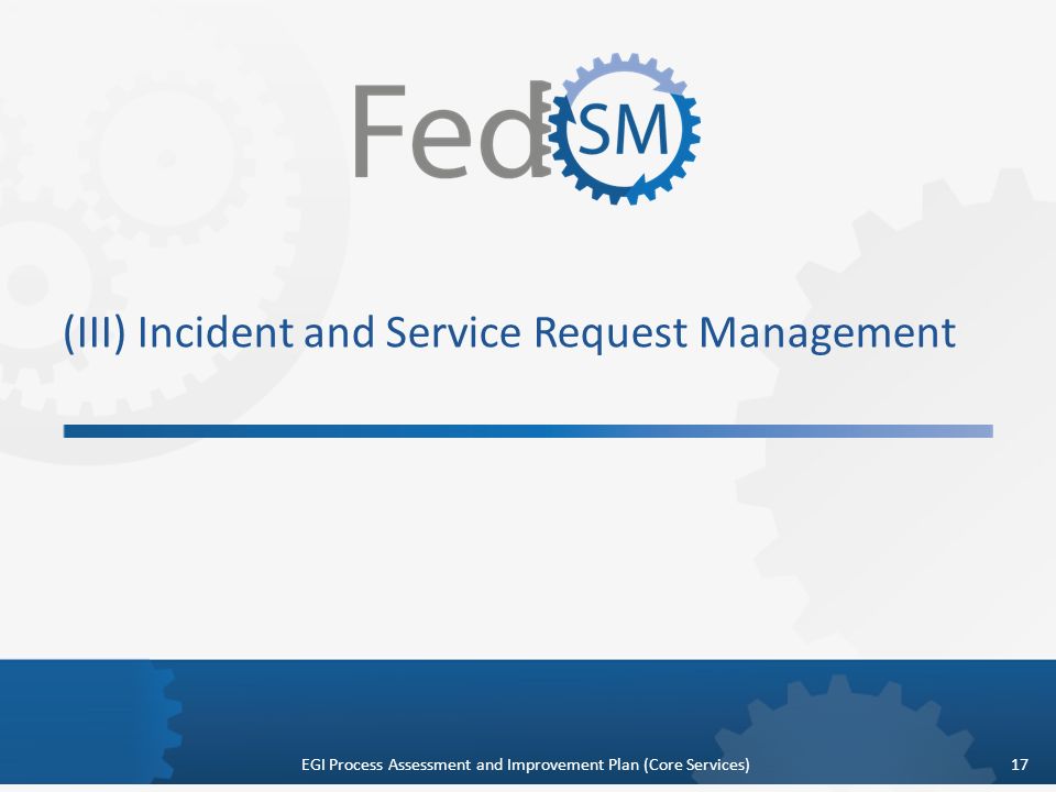 (III) Incident and Service Request Management 17EGI Process Assessment and Improvement Plan (Core Services)
