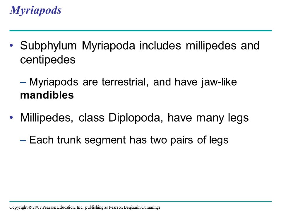 Copyright © 2008 Pearson Education, Inc., publishing as Pearson Benjamin Cummings Myriapods Subphylum Myriapoda includes millipedes and centipedes – Myriapods are terrestrial, and have jaw-like mandibles Millipedes, class Diplopoda, have many legs – Each trunk segment has two pairs of legs