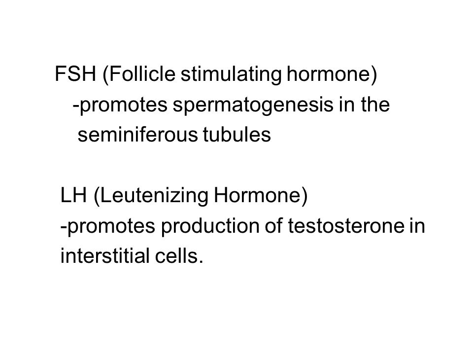 FSH (Follicle stimulating hormone) -promotes spermatogenesis in the seminiferous tubules LH (Leutenizing Hormone) -promotes production of testosterone in interstitial cells.