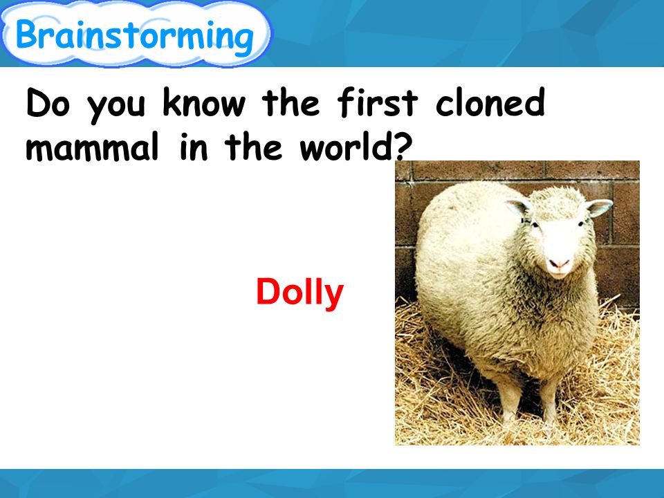 The perfect copy. Brainstorming Do you know the first cloned mammal in the  world? Dolly. - ppt download