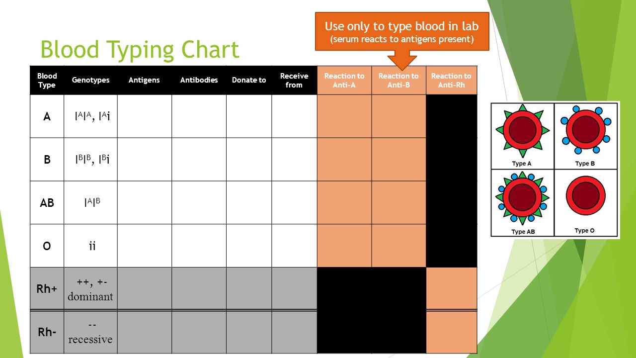 the human genome chapter 14 the human genome in humans diploid blood typing chart