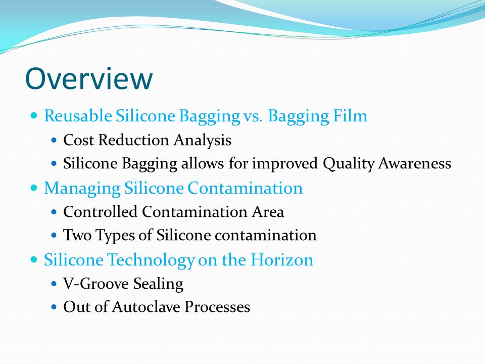 Overview Reusable Silicone Bagging vs.