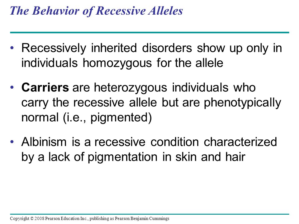 The Behavior of Recessive Alleles Recessively inherited disorders show up only in individuals homozygous for the allele Carriers are heterozygous individuals who carry the recessive allele but are phenotypically normal (i.e., pigmented) Albinism is a recessive condition characterized by a lack of pigmentation in skin and hair Copyright © 2008 Pearson Education Inc., publishing as Pearson Benjamin Cummings