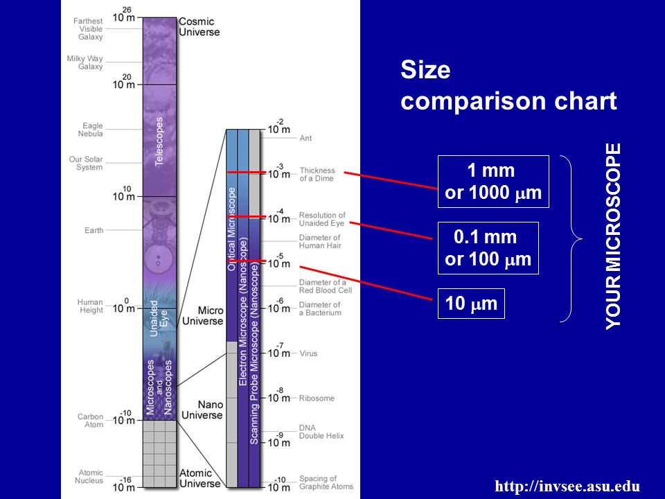 mm size comparison