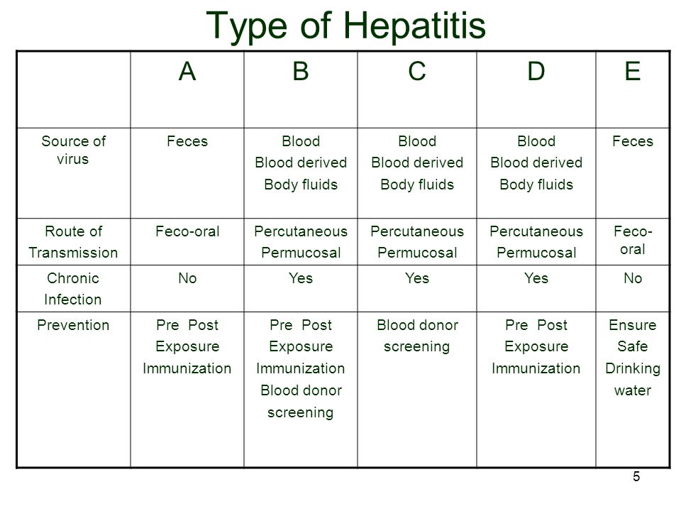 1 Hepatitis Viruses By Dr D W Deshkar Ppt Download