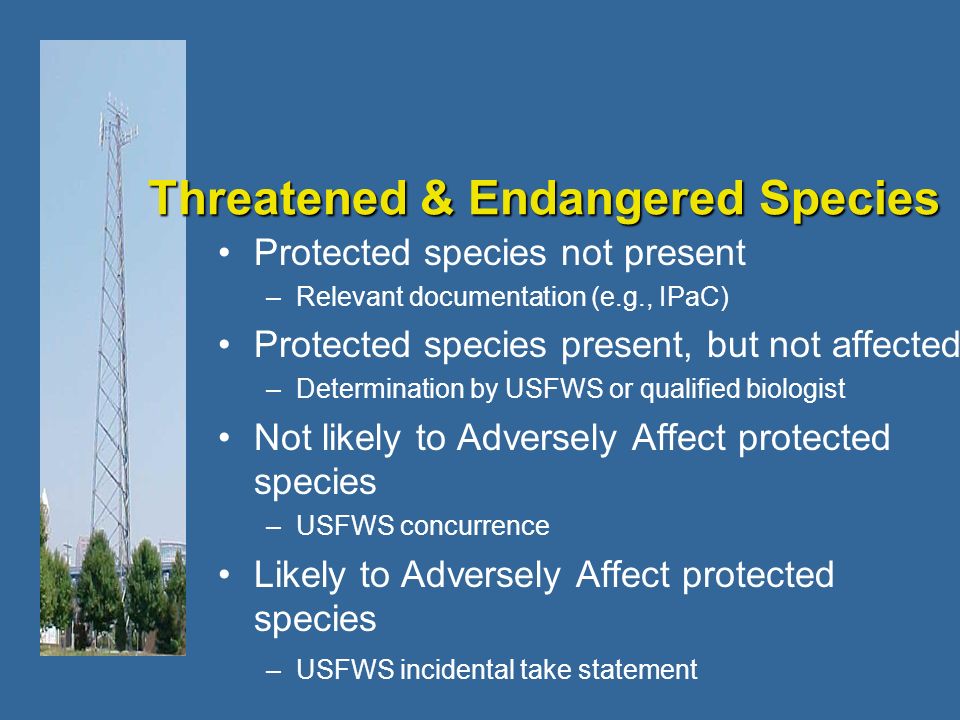 Protected species not present –Relevant documentation (e.g., IPaC) Protected species present, but not affected –Determination by USFWS or qualified biologist Not likely to Adversely Affect protected species –USFWS concurrence Likely to Adversely Affect protected species –USFWS incidental take statement Threatened & Endangered Species
